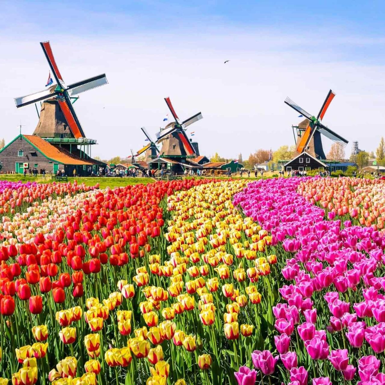 https://bisshovromon.com/wp-content/uploads/2018/09/destination-netherlands-01-1280x1280.jpg