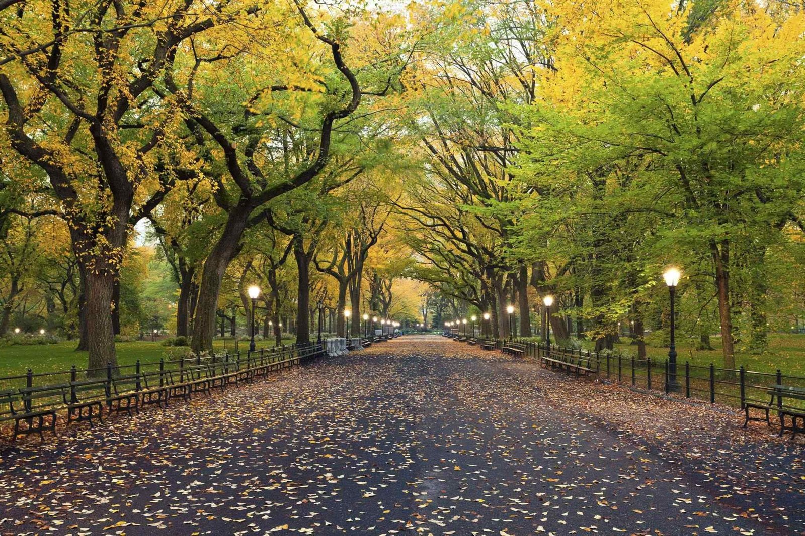 https://bisshovromon.com/wp-content/uploads/2018/09/destination-new-york-02.jpg