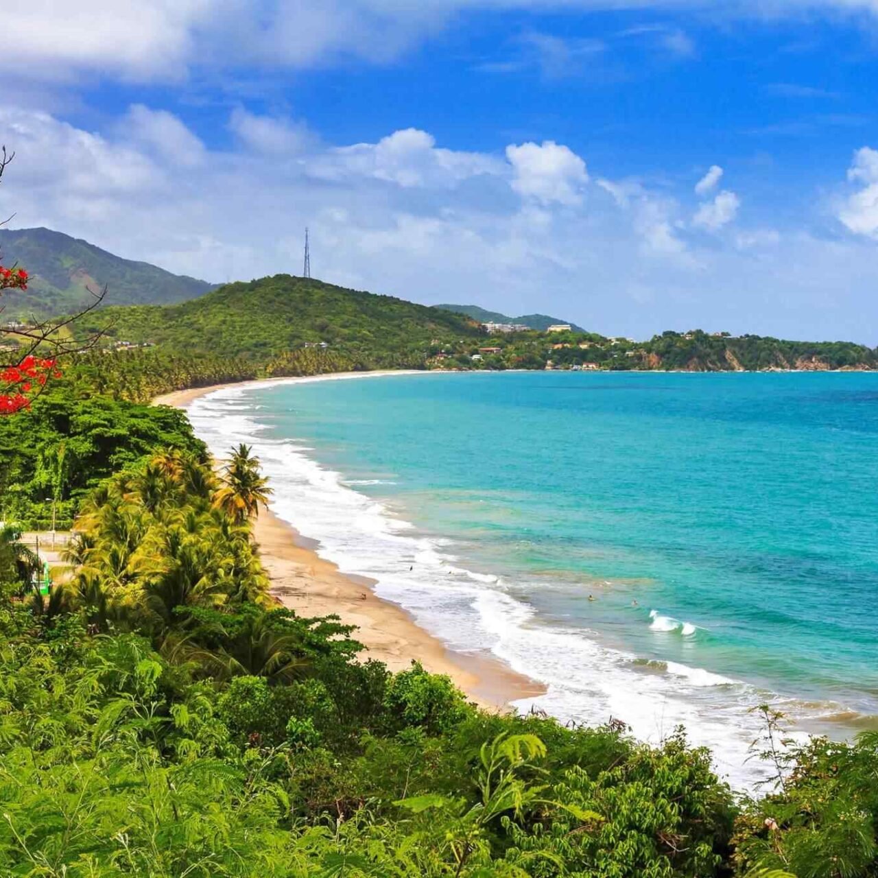 https://bisshovromon.com/wp-content/uploads/2018/09/destination-puerto-rico-01-1280x1280.jpg