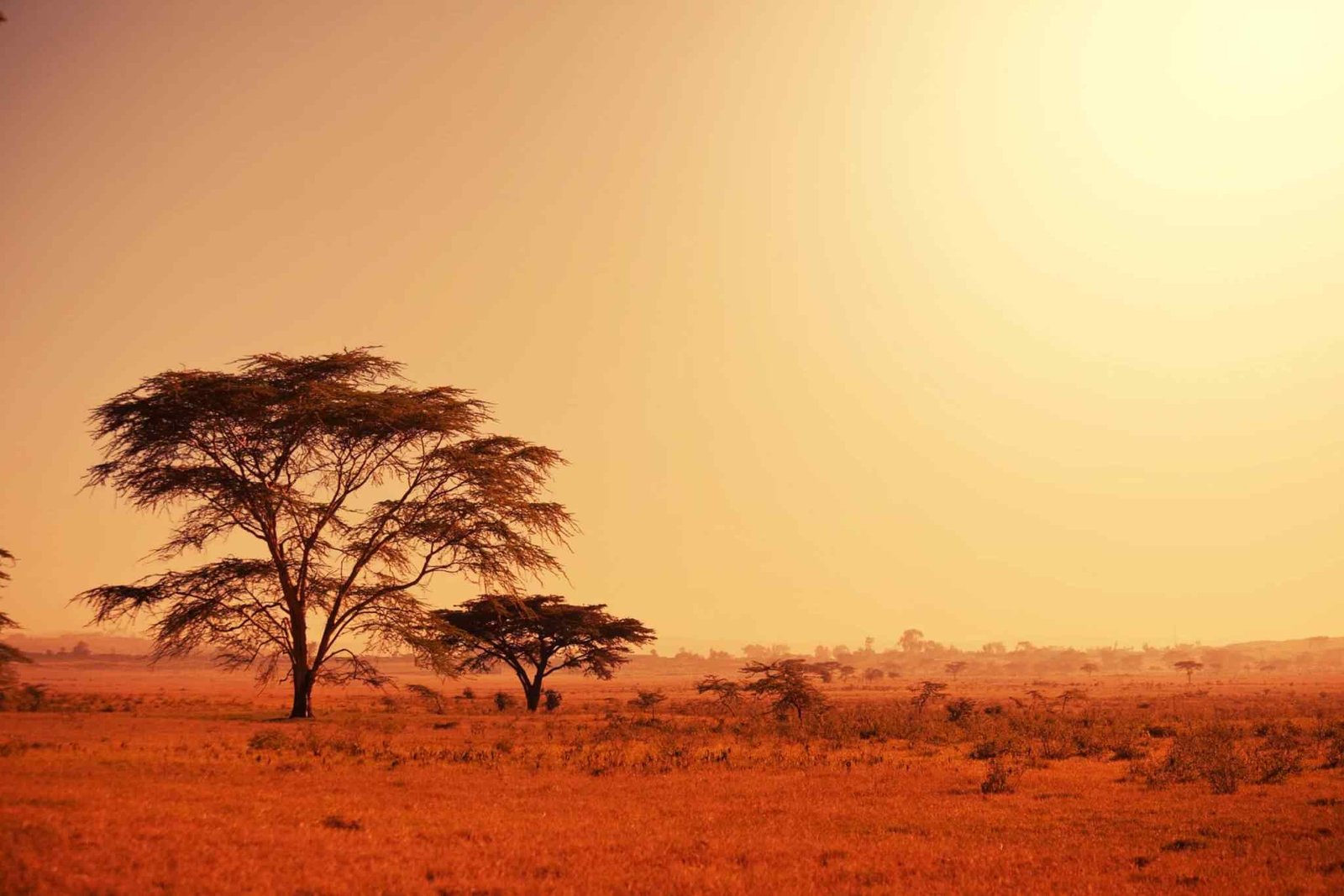 https://bisshovromon.com/wp-content/uploads/2018/09/tour-africa-02.jpg