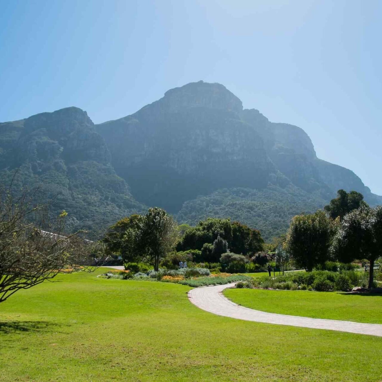 https://bisshovromon.com/wp-content/uploads/2018/09/tour-capetown-03-1280x1280.jpg