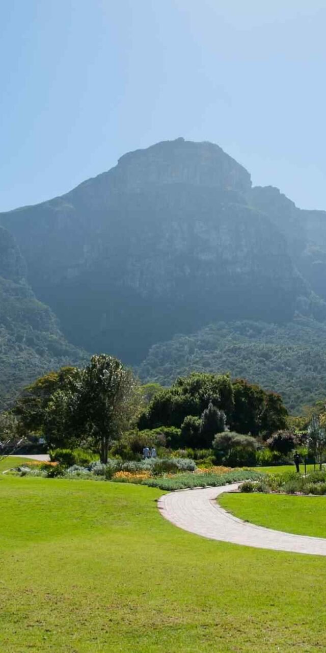 https://bisshovromon.com/wp-content/uploads/2018/09/tour-capetown-03-640x1280.jpg