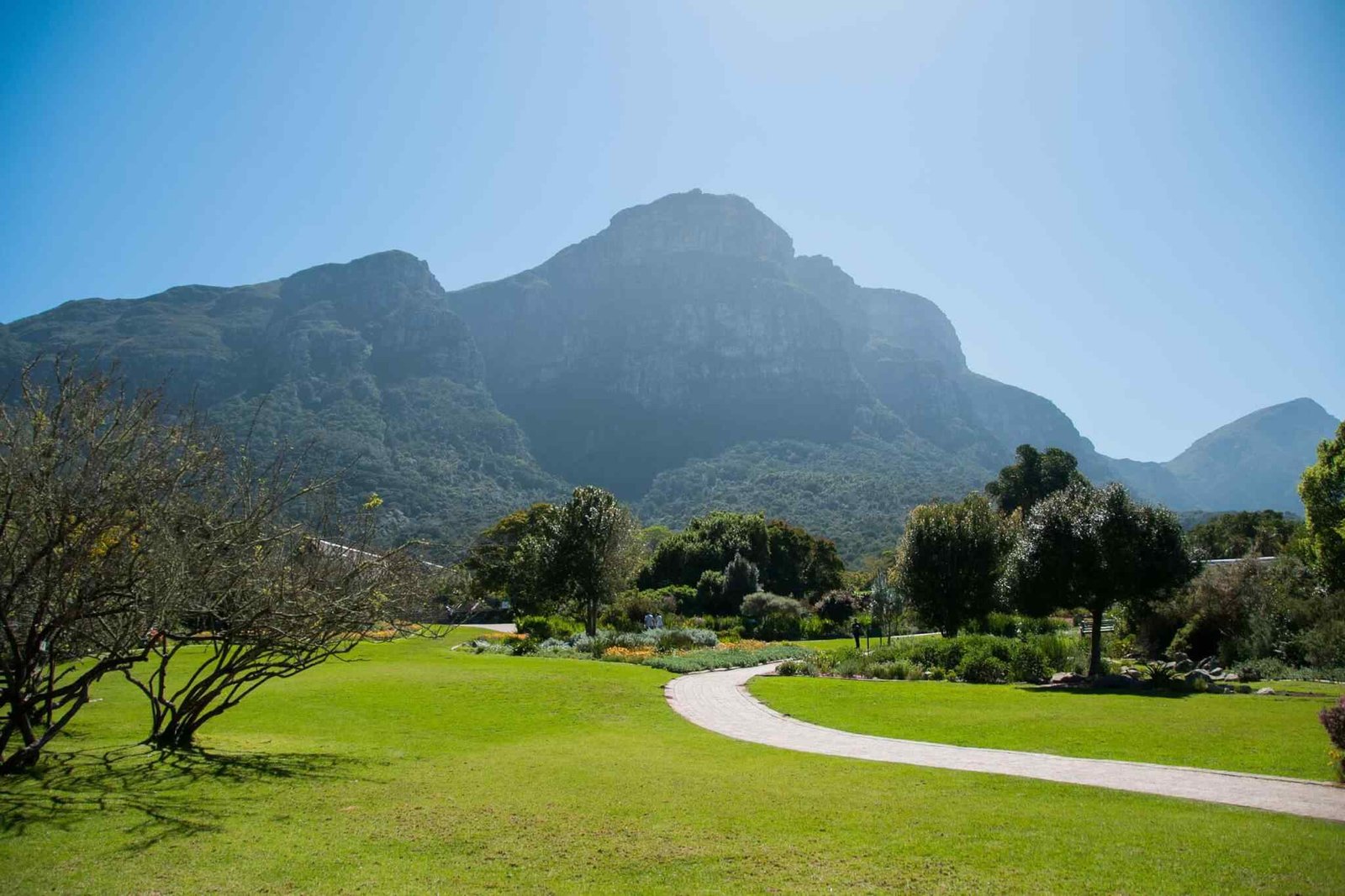 https://bisshovromon.com/wp-content/uploads/2018/09/tour-capetown-03.jpg