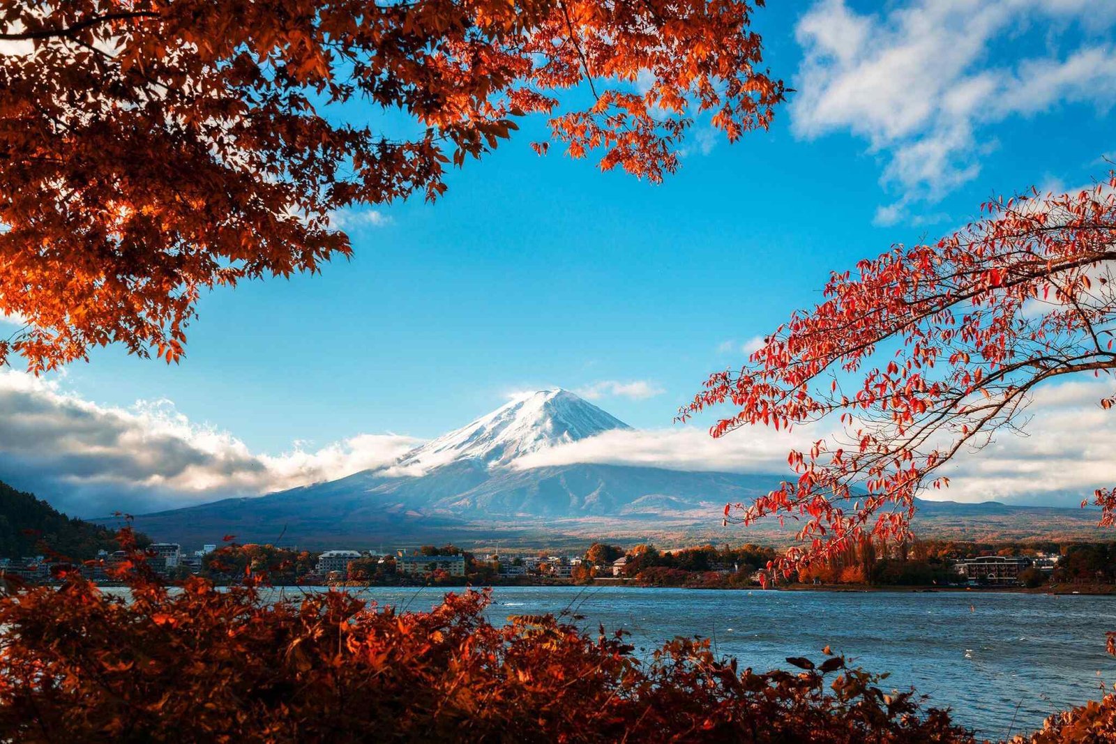 https://bisshovromon.com/wp-content/uploads/2018/09/tour-fuji-04.jpg
