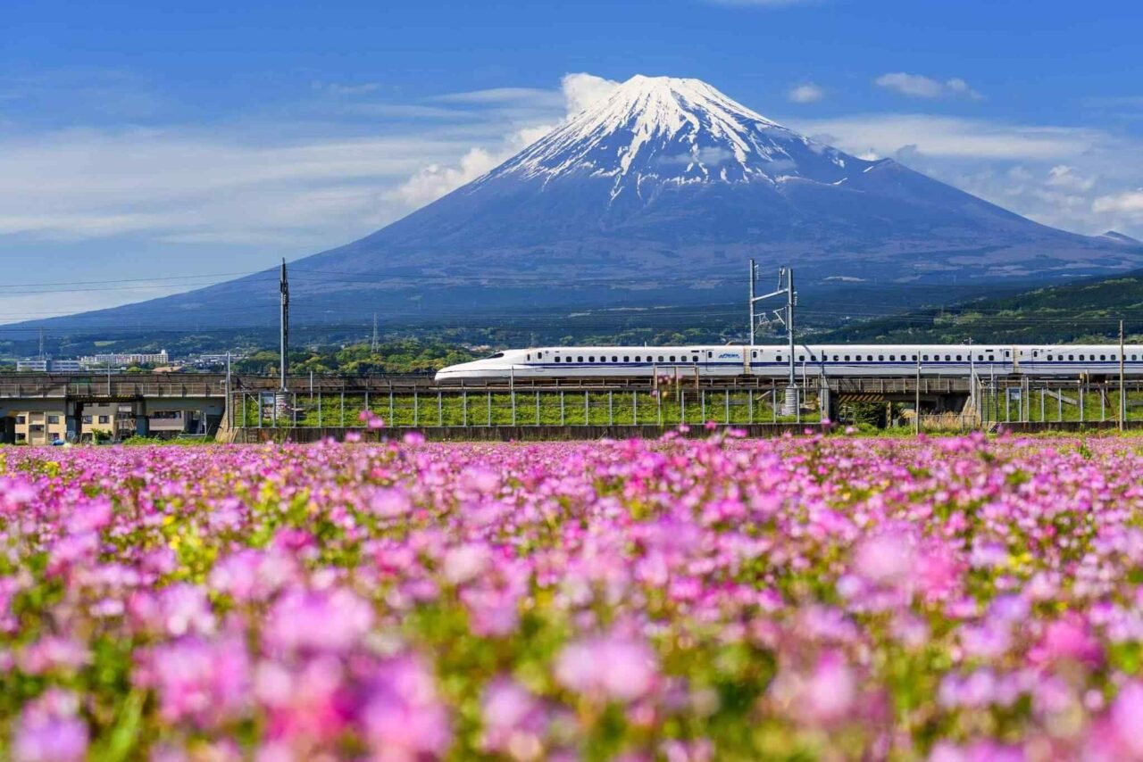 tour-osaka-04 https://bisshovromon.com/wp-content/uploads/2018/09/tour-osaka-04-1280x854.jpg